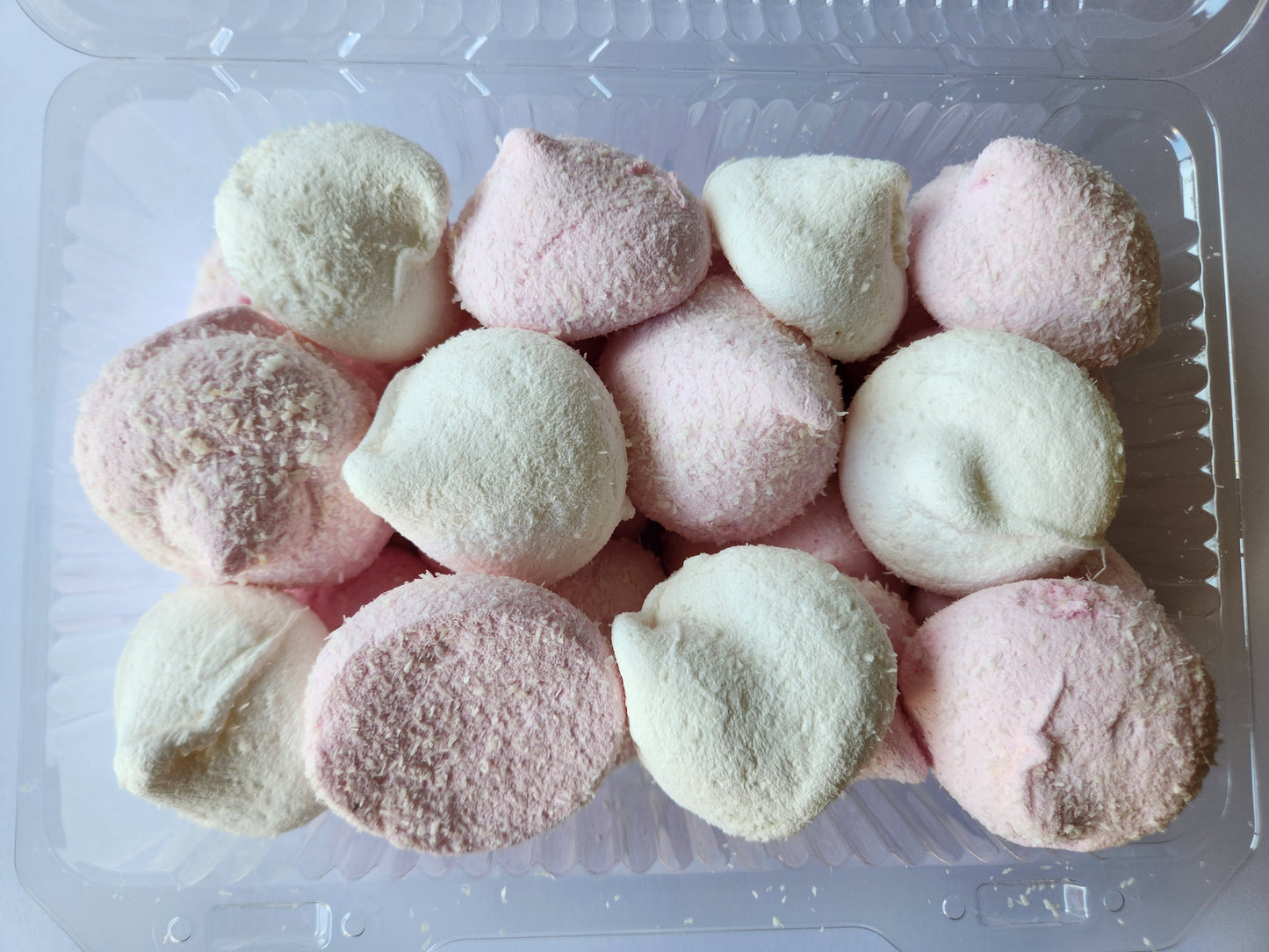 Malva Coco 24u