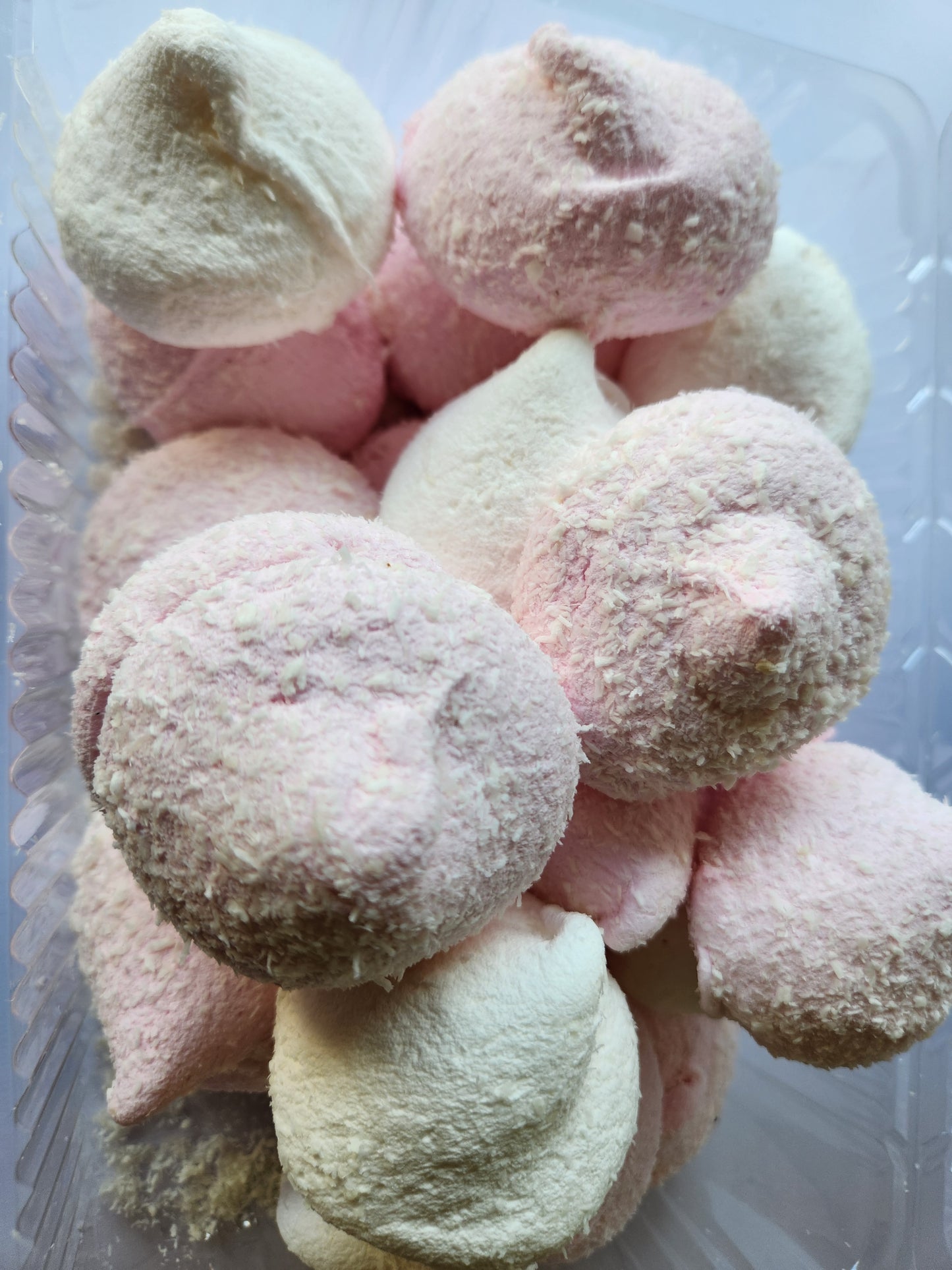 Malva Coco 24u